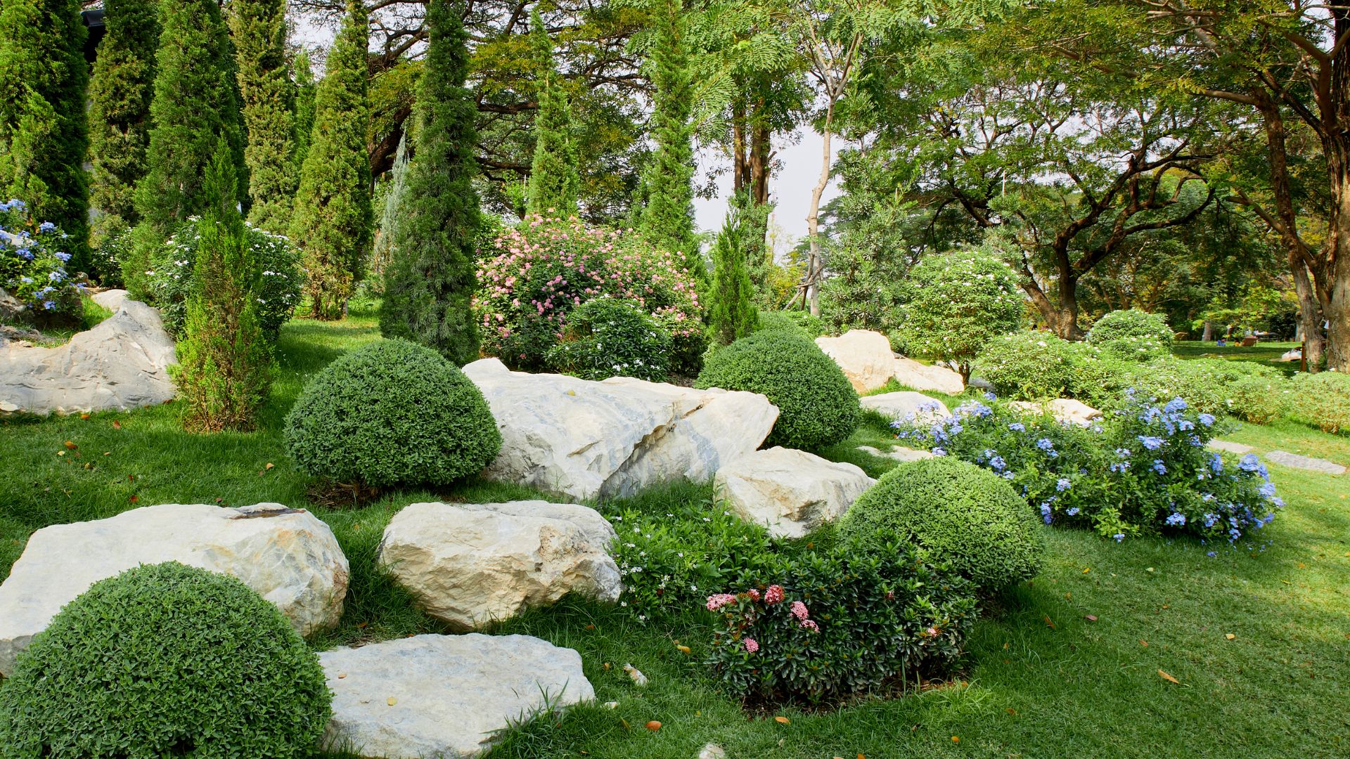 Landscaping work by Andy's Landscaping in Charlottesville, VA
