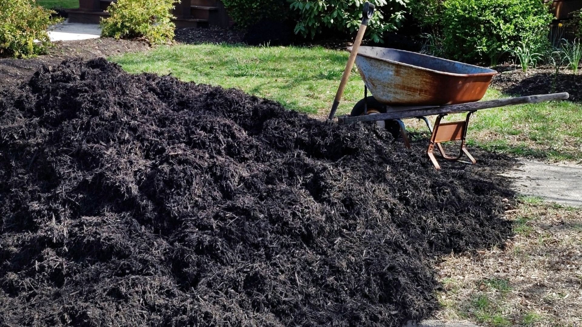 Andy's Landscaping photo for Charlottesville, VA outdoor services