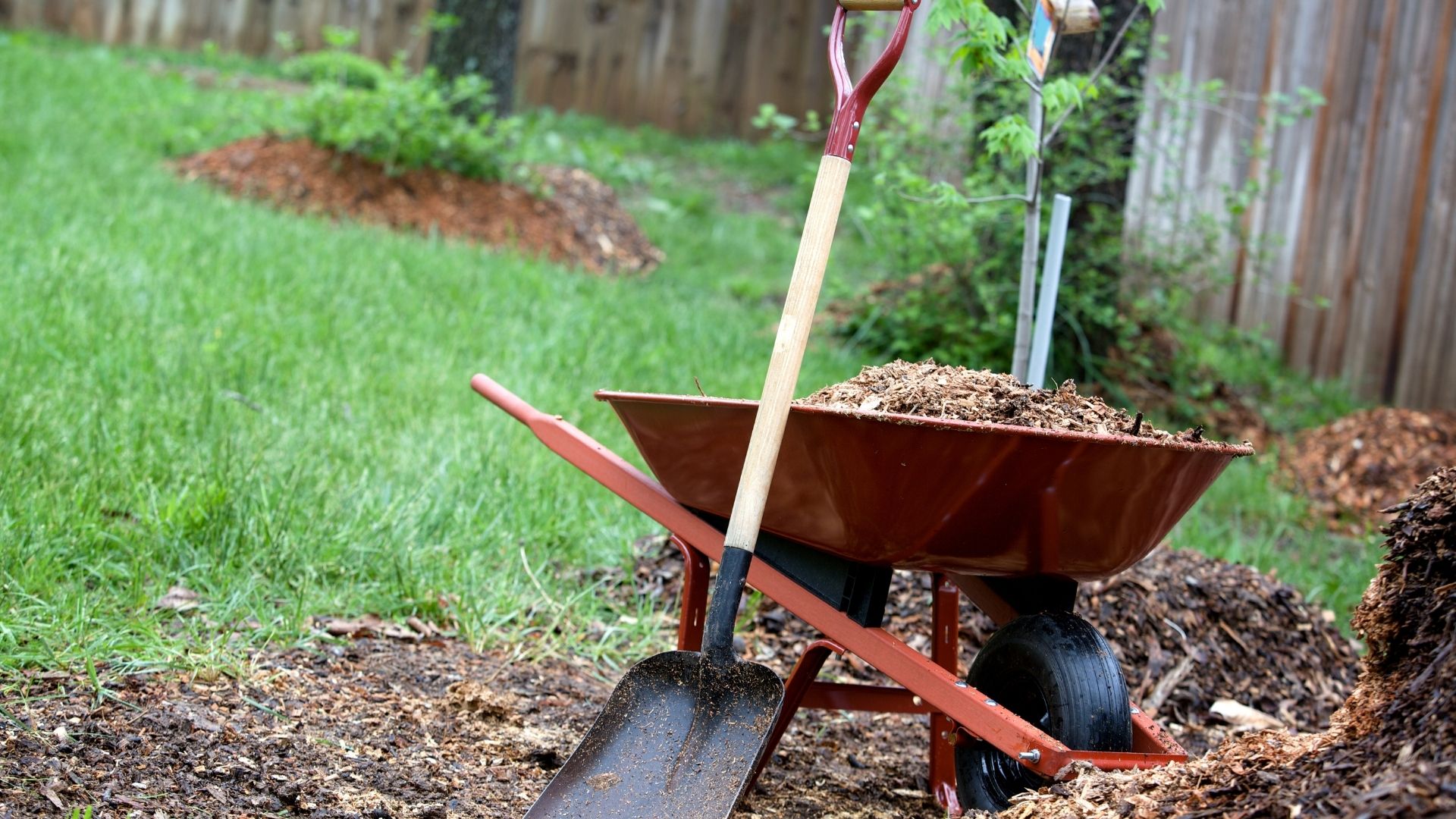 Andy's Landscaping photo for Charlottesville, VA outdoor services