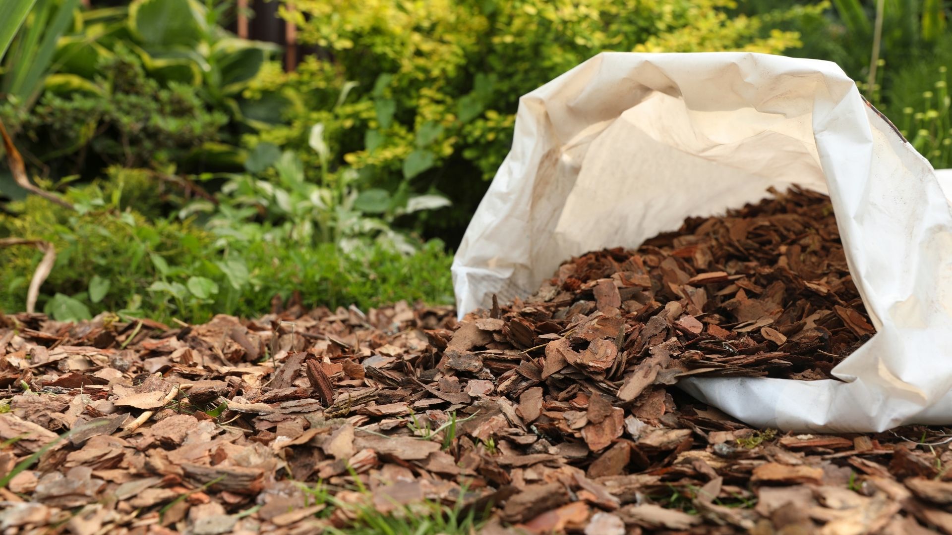Andy's Landscaping photo for Charlottesville, VA outdoor services