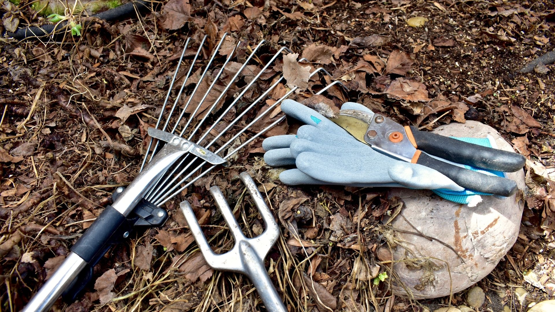 Andy's Landscaping photo for Charlottesville, VA outdoor services