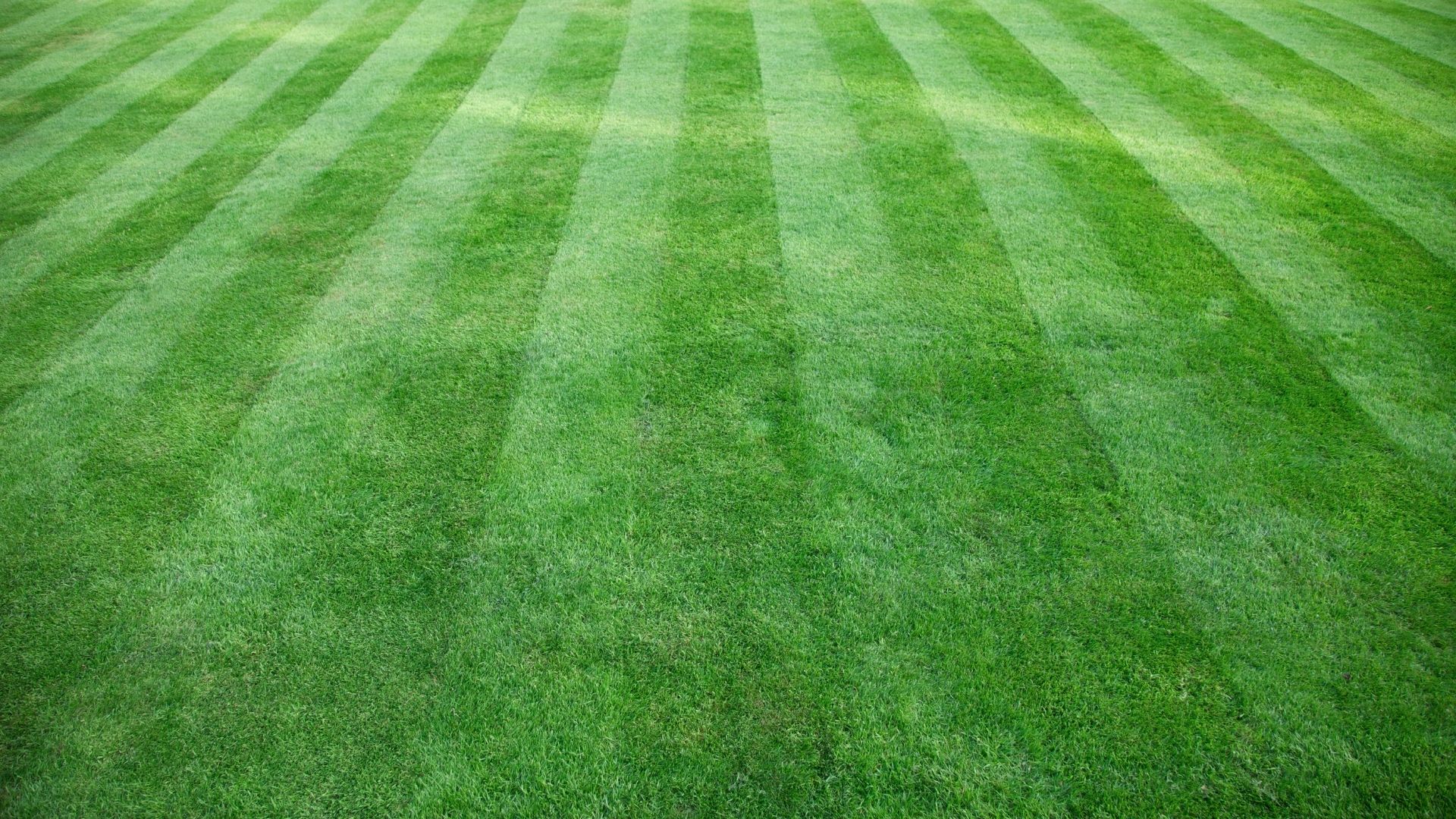 Andy's Landscaping photo for Charlottesville, VA outdoor services