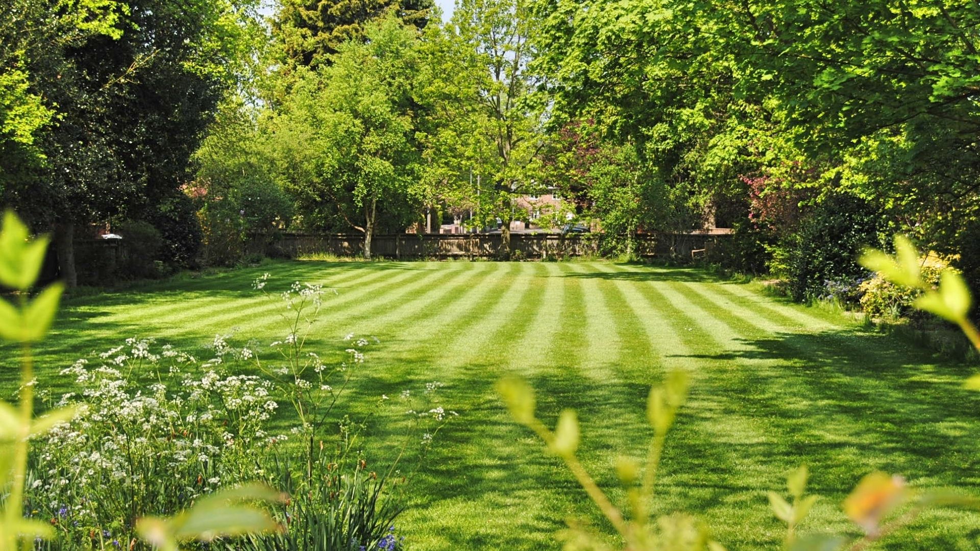 Andy's Landscaping photo for Charlottesville, VA outdoor services