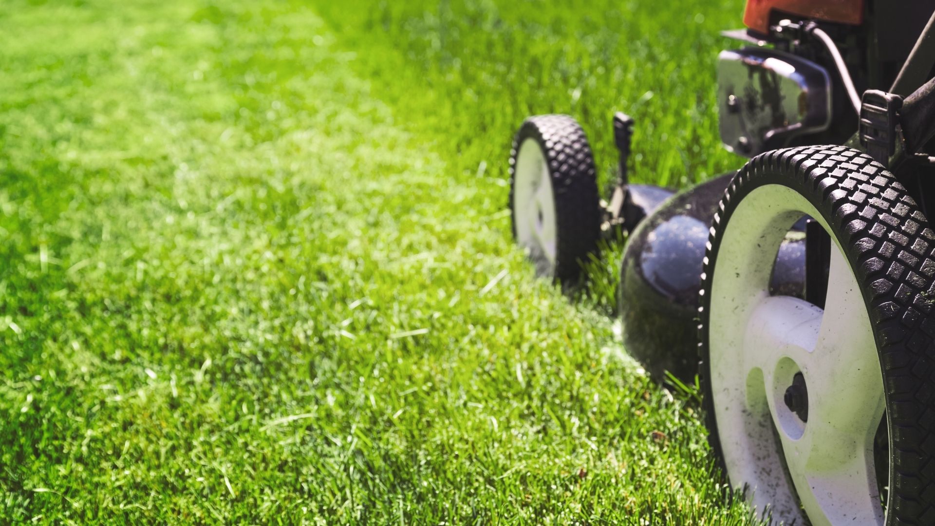 Andy's Landscaping photo for Charlottesville, VA outdoor services