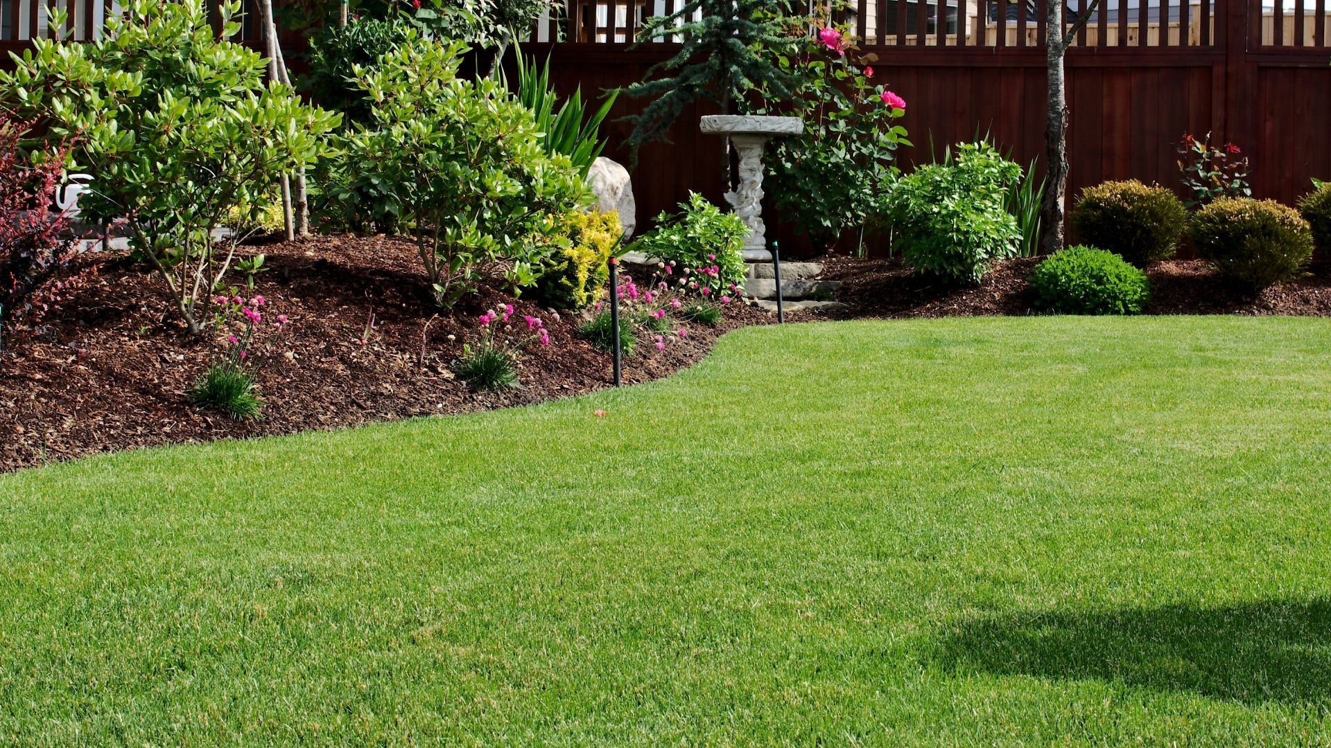 Andy's Landscaping photo for Charlottesville, VA outdoor services