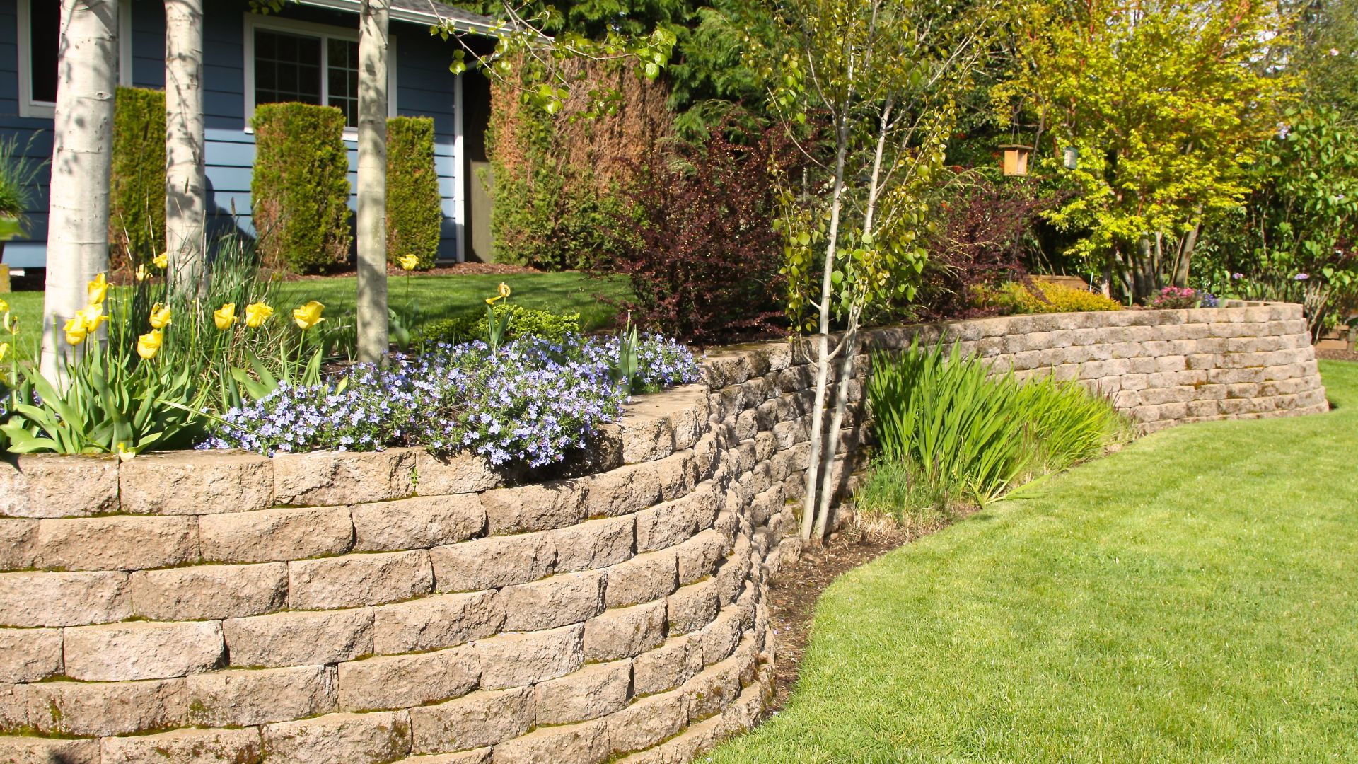 Andy's Landscaping photo for Charlottesville, VA outdoor services