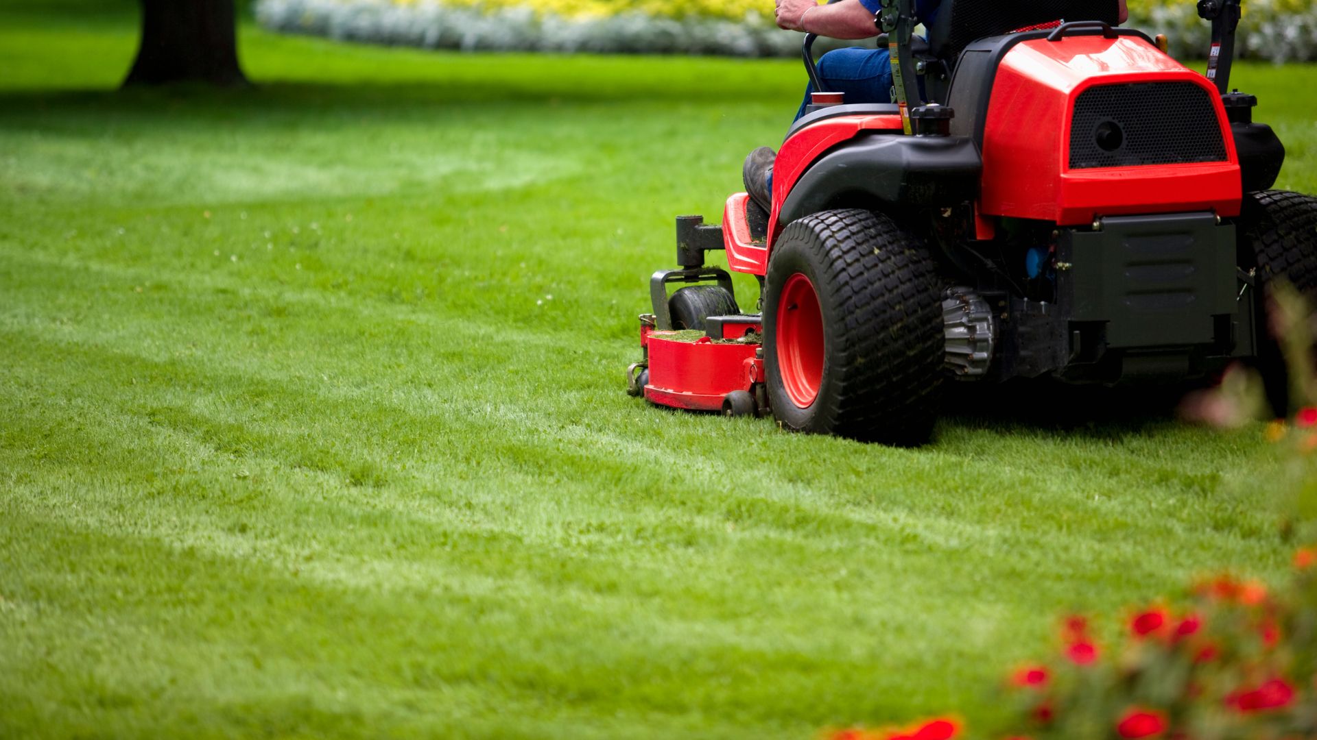 Red riding lawn mower cutting grass on a well-maintained green lawn