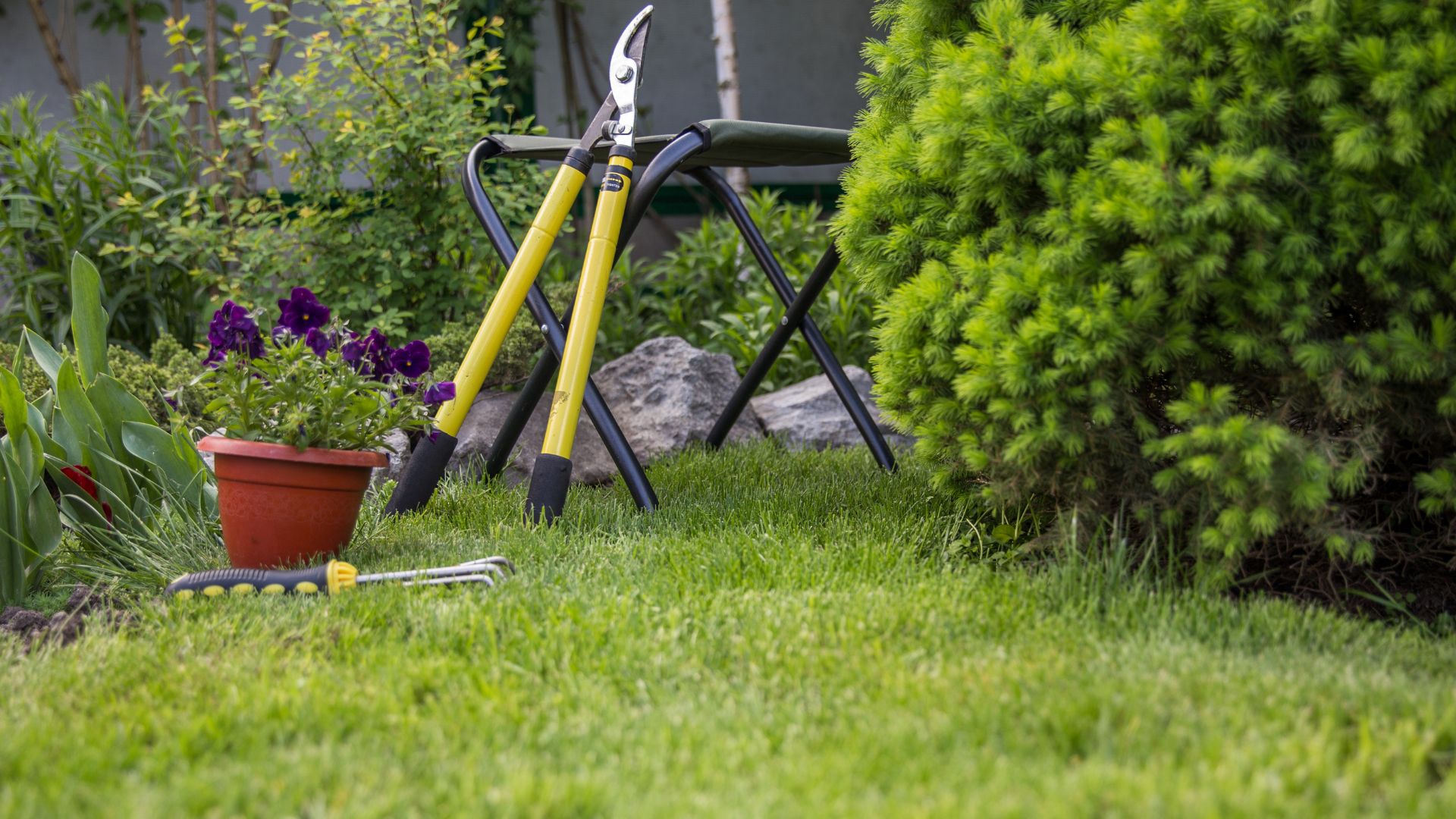 Yellow gardening tools on grass near purple flowers and green shrubs