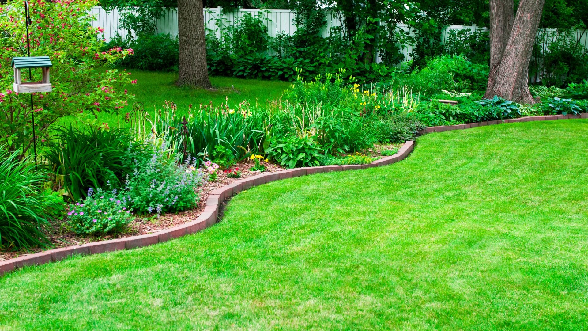 Lush garden with curved flower beds, green lawn, and white fence